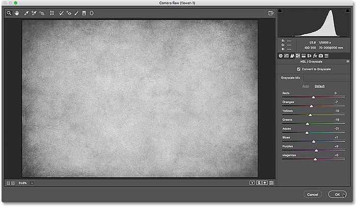 The Camera Raw Filter dialog box showing a preview of the grayscale conversion