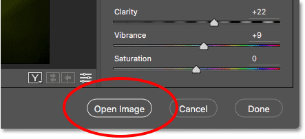 The Open Image button in Camera Raw