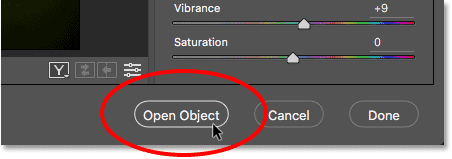 Clicking the Open Object button in the Camera Raw plugin in Photoshop