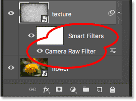 The Layers panel showing the Camera Raw Filter smart object in Photoshop