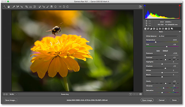 The raw file opens in Camera Raw