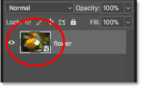 Double-clicking on the smart object thumbnail