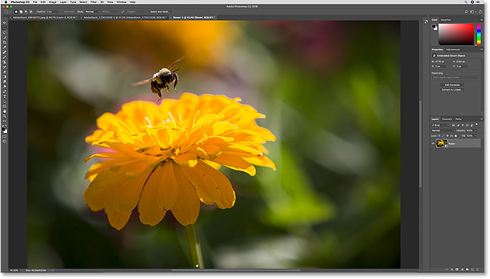 The raw file opened in Photoshop as a smart object