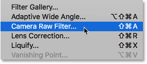 Opening the Camera Raw Filter in Photoshop CC