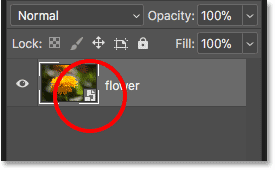 The Layers panel showing the raw file as a smart object