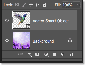 The vector smart object holding the Illustrator artwork in Photoshop