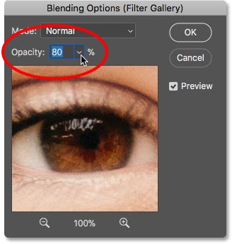 Lowering the opacity of the Diffuse Glow smart filter in Photoshop