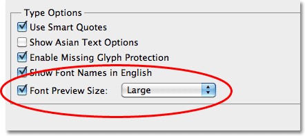 The Font Preview Size option in the Type Preferences in Photoshop CS5. 