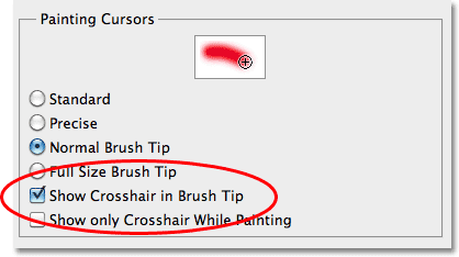 The Show Crosshair in Brush Tip option in the Cursor Preferences in Photoshop CS5. 