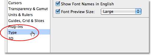 The Type Preferences in Photoshop CS5. 