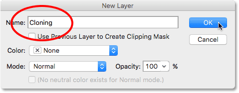 The New Layer dialog box.