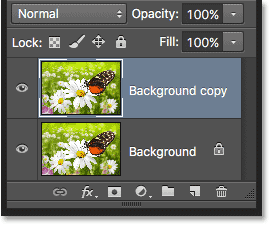 A copy of the Background layer appears in the Layers panel. 