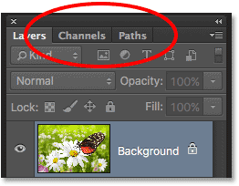 The Channels and Paths panels grouped in with the Layers panel. 