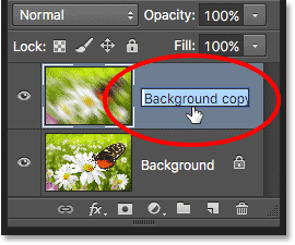 Renaming the Background copy layer. 