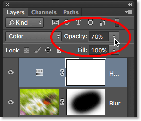 The layer opacity option in the Layers panel. 