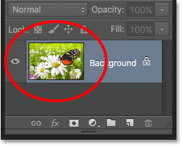 The preview thumbnail in the Layers panel in Photoshop. 