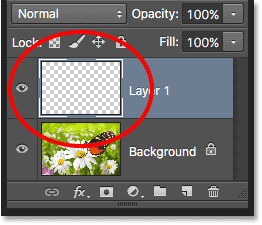 A new layer named Layer 1 appears in the Layers panel. 