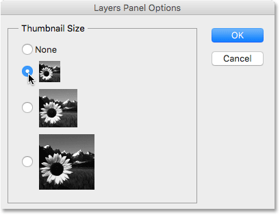 خيار Thumbnail Size في مربع الحوار Layers Panel Options. 