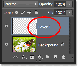 A new layer named Layer 1 appears in the Layers panel. 