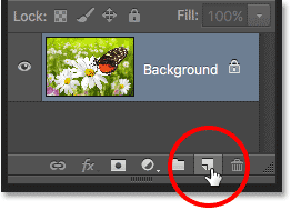 The New Layer icon in the Layers panel in Photoshop. 