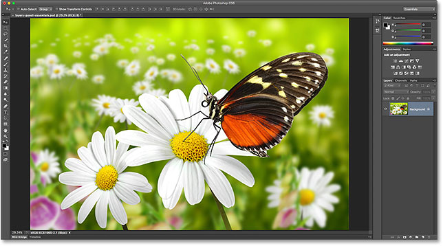 A photo of a butterfly. Image # 27824157 licensed from Adobe Stock by Photoshop Essentials.com