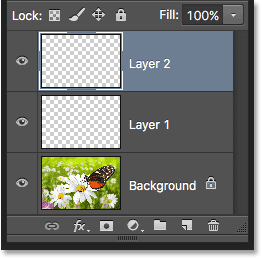 تظهر طبقة جديدة تسمى Layer 2 في لوحة Layers. 