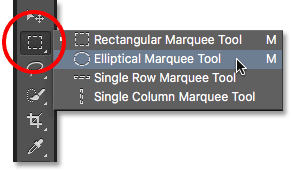 Selecting the Elliptical Marquee Tool from the Tools panel. Image © 2016 Photoshop Essentials.com