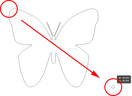 Drawing the butterfly shape. 