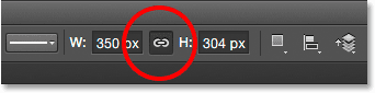 The width and height link icon in the Options Bar. 