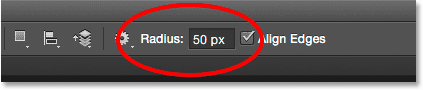 The Rounded Rectangle Tool Radius value in the Options Bar. 