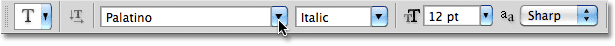 Photoshop font options in the Options Bar. 