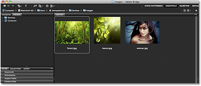 Selecting a single image in Adobe Bridge. 