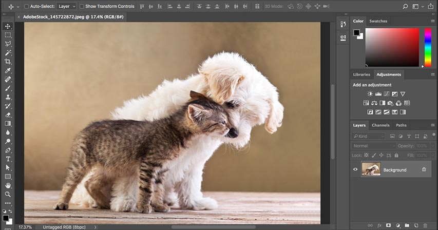 Learning the Photoshop interface - Complete guide