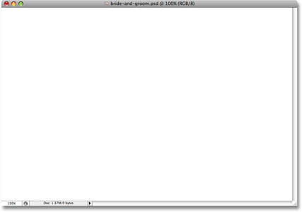 The document window in Photoshop is now filled with white. 