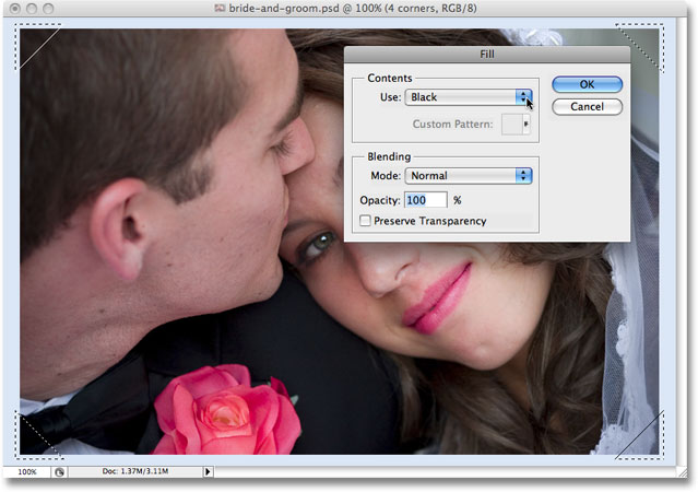 The Fill dialog box opens once again when Photoshop reaches the second Fill step in the action. 