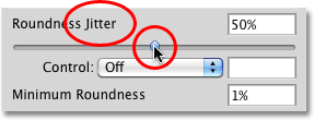 The Roundness Jitter option in the Shape Dynamics section in Photoshop. 