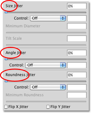 The Size, Angle and Roundness headings in the Shape Dynamics options. 