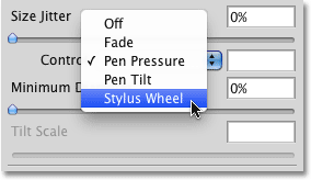 Selecting Stylus Wheel for the Size Control option in the Brushes panel. 