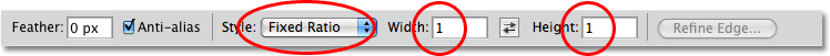 The Options Bar in Photoshop. 