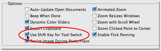 Photoshop Preferences options. 