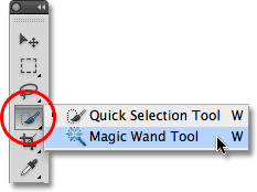 أداة Magic Wand Tool في Photoshop.  صورة © 2010 Photoshop Essentials.com