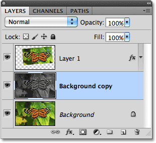 Desaturating a copy of the Background layer in Photoshop. 