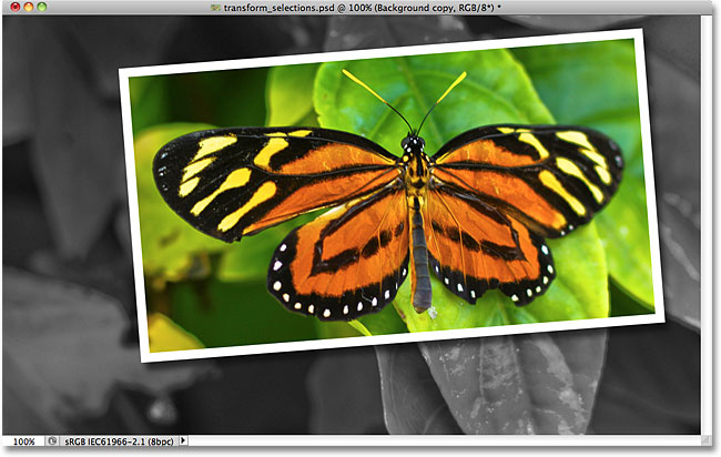 Photoshop picture-in-picture effect. 