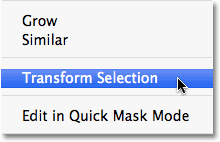 Selecting the Transform Selection command in Photoshop. 