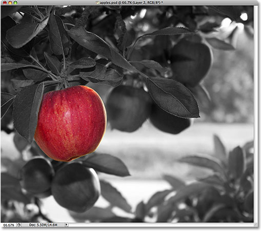 The apple remains in full color. 