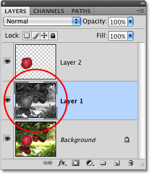 Desaturating a layer in Photoshop. 