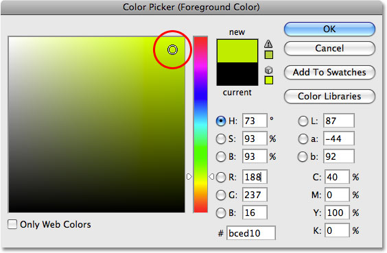 The Color Picker in Photoshop. 