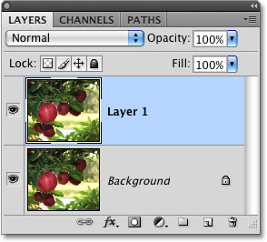 The Layers palette in Photoshop. 