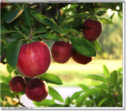 Selecting the apple once again. 