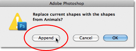 add text and shapes photoshop